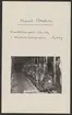 Höganäs stenkolsgruvors kronologi.
Ur Carl Sahlins bergshistoriska samling.