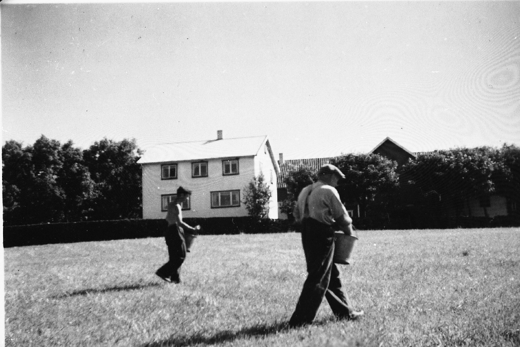 Magnar Time (31.2.1923 - 10.7.2006) t.v. og Martin Time (6.2.1897 - 26.5.1975) sår (spreier) kunstgjødsel på kjelva framfor husa.