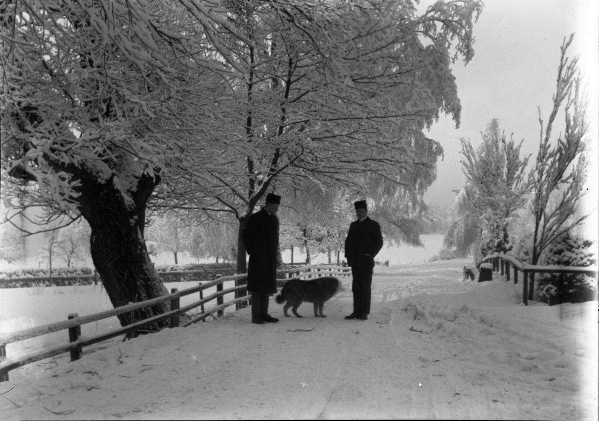 Fotoarkivet etter Gunnar Knudsen. To menn og hund ved innkjøringen til Borgestad Gård