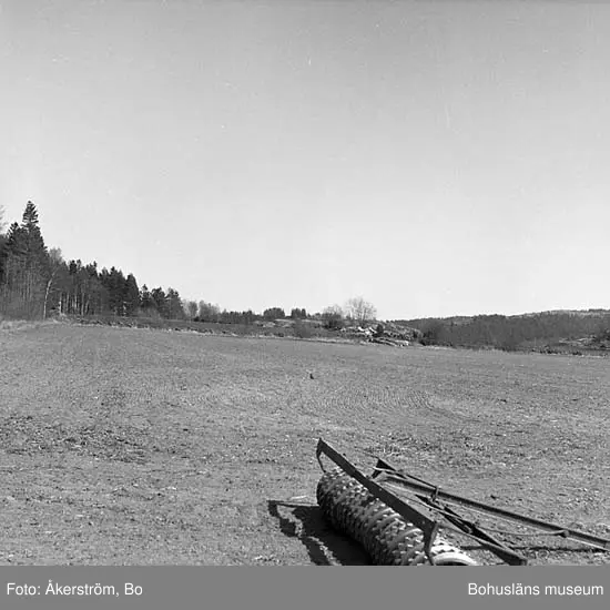 Gravfält
