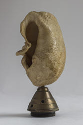 Ole Boger Kongsvinger