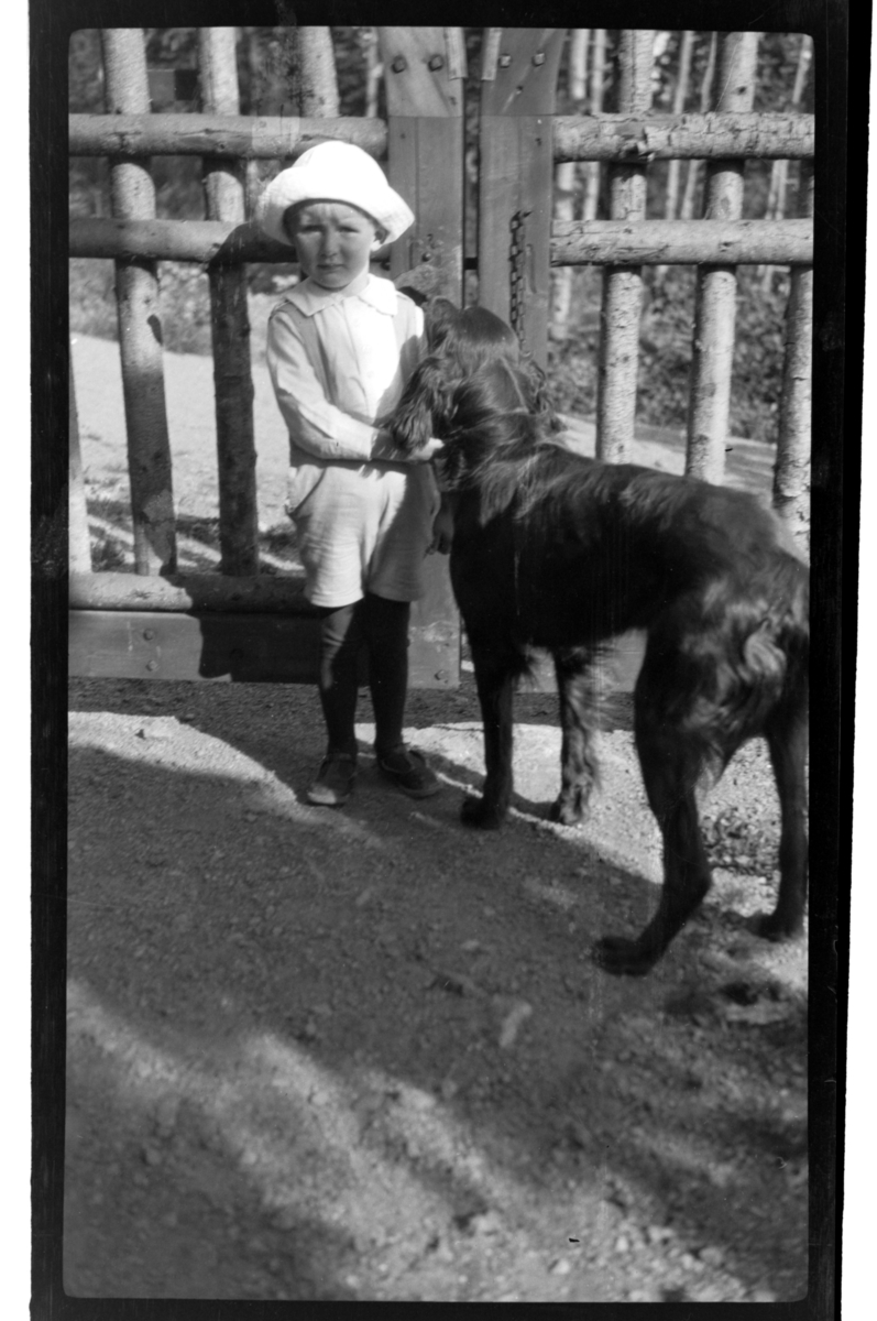 Julius Sundt og Rollo står ved porten, Villa Knyggen. Fotografert 1920.