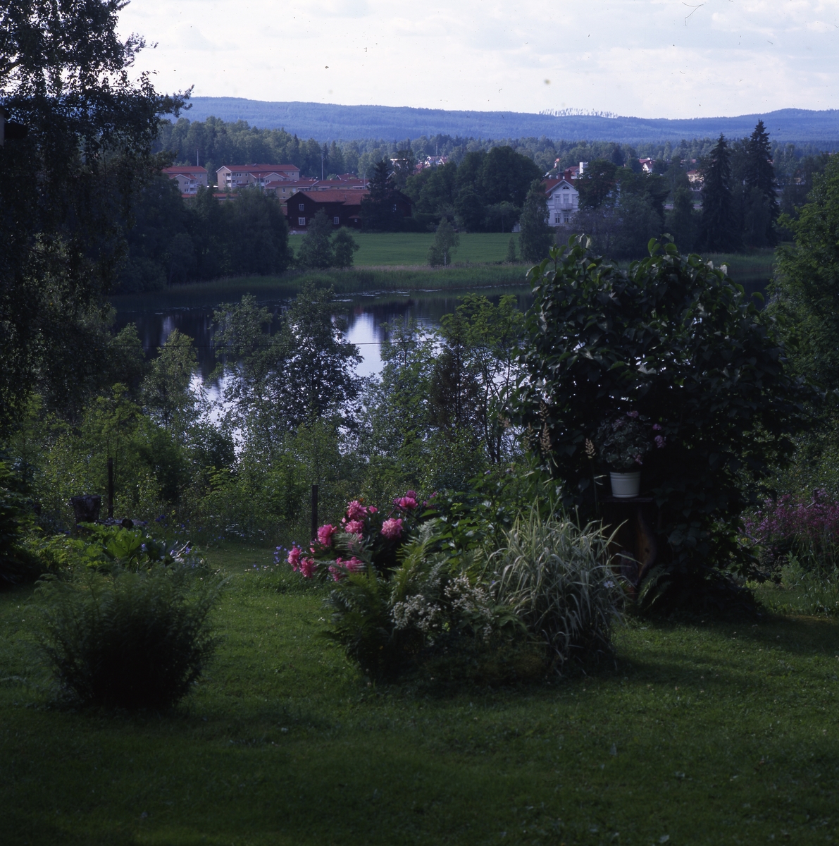Vid Daisy o Gunnars Sommarställe i Alfta 22 juli 1996. -Hälsinglands ...
