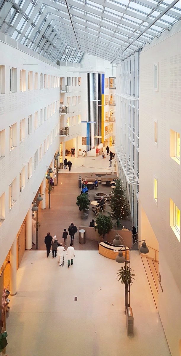 Vestibylen er det sentrale møtestedet og knutepunktet i sykehuset. Her mottas pasienter og besøkende, og ledes videre inn i sykehusets overordnede trafikksystem med glassoverdekte gater, plasser og torg. Et blikkfang i vestibylen er Gunvaldsens store, transparente tekstilarbeid "Balanse" som henger ned fra taket. Teppet er en aktiv aksent i rommet, det er i harmoni med arkitekturen, og det har spennende skiftninger i form og fargespill- alt etter hvilket utsiktspunkt betrakteren har. Verket er synlig fra lang avstand både fra sør og nord i glassgaten, og fungerer slik også som et kunstnerisk "skilt" og en markering av vestibyleområdet.