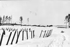 F6 Karlsborg 1945. Några av norskamerikanen och översten Bernt Balchens amerikanska transportplan C-47 Dakotapå Kallax utanför Luleå. Albumet är en del av en donation från Karl-Axel Hansson, Karlsborg. Förteckning över hela donationen finns i albumet samt som Word-dokument.