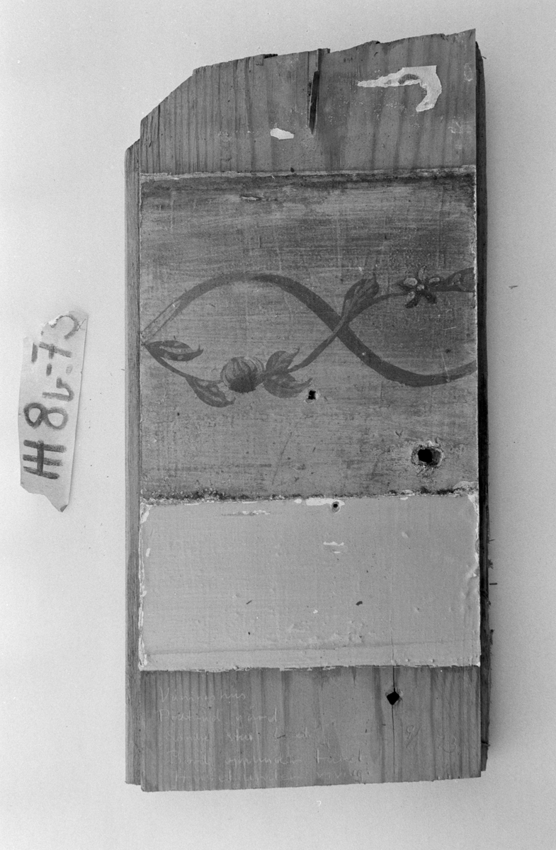 Panel