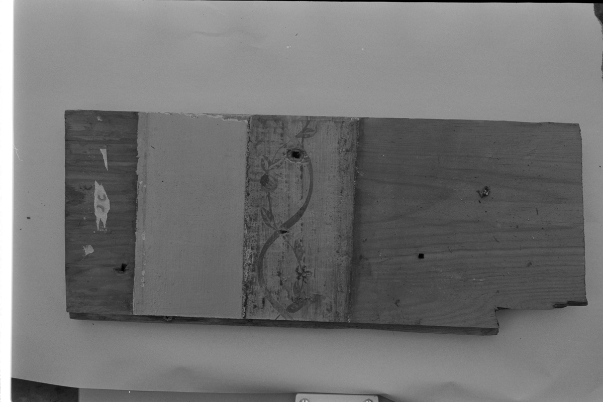 Panel