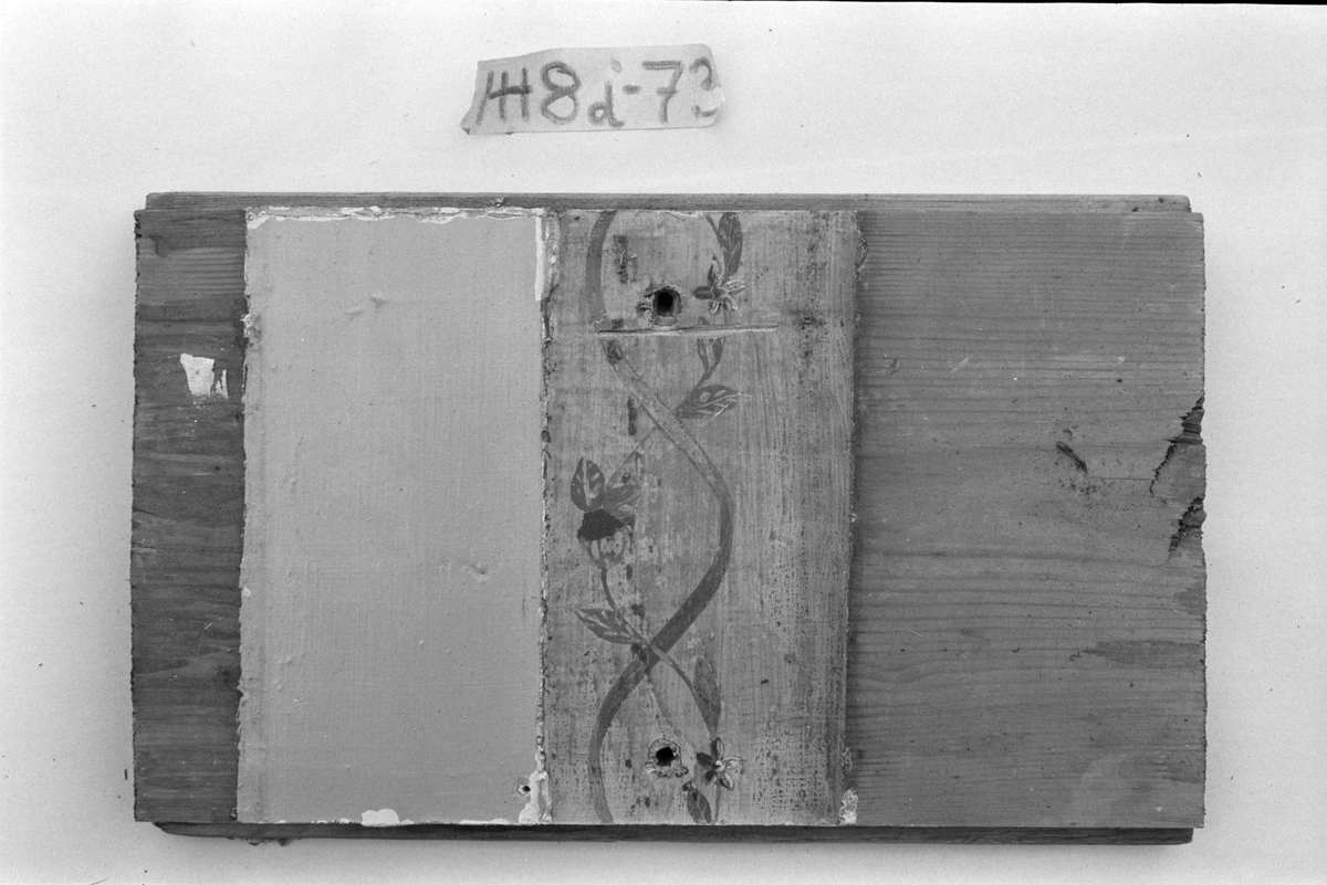 Panel