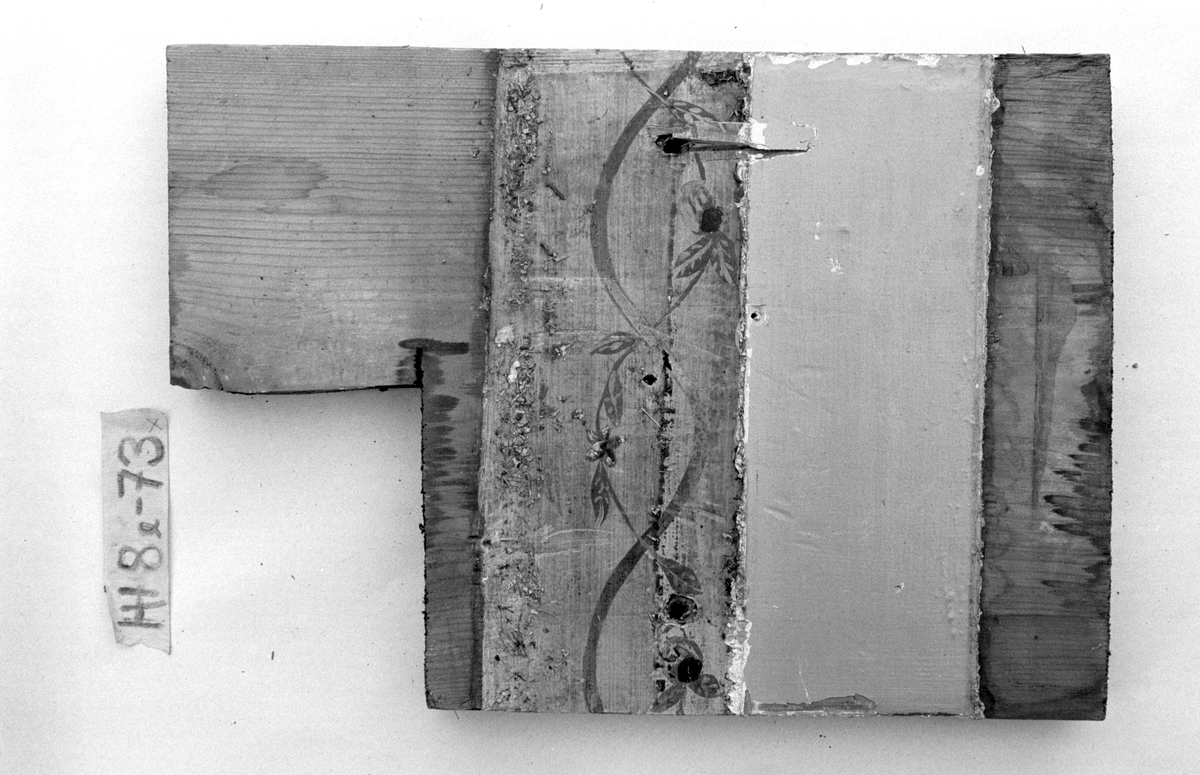 Panel