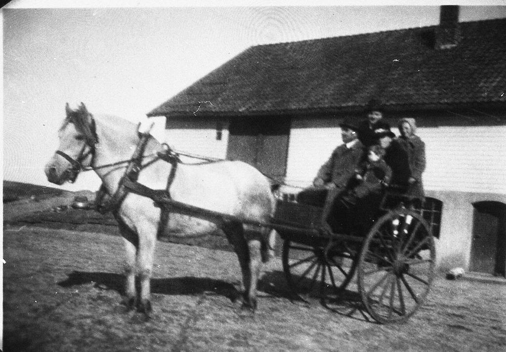 Frå konfirmasjonsdagen til Per Haugland (18.11.1925 - 22.7.1986). Henrik (Helle) Haugland (19.5.1889 - 31.5.1973), Margit Pauline Haugland f. Mæhle (22.6.1894 - 31.5.1968), Liv Haugland g. Indrebø (2.10.1932 - ) og Helge Haugland (17.8.1939 - )