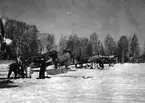 F6 Karlsborg 1946. Vinterövning i Boden. Mars månad. Albumet är en del av en donation från Karl-Axel Hansson, Karlsborg. Förteckning över hela donationen finns i albumet samt som Word-dokument.