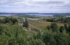 1961. Distansbild från Vetteberget, utsikt över Askeröfjorden.