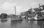 Utsikt över Smögens hamn omkring 1920.