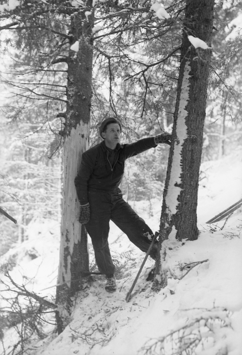 Tømmerhoggere