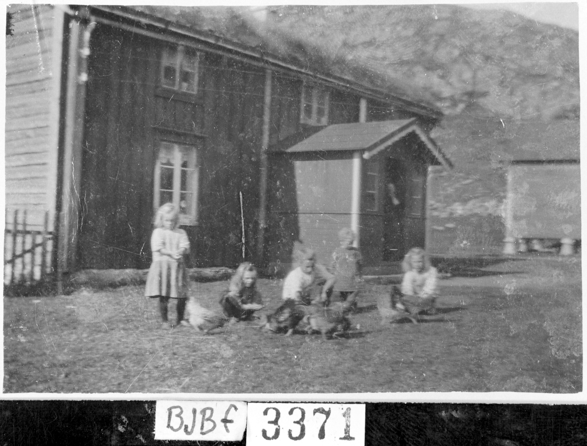 Rømmen øst. Barn leker med/forer høner