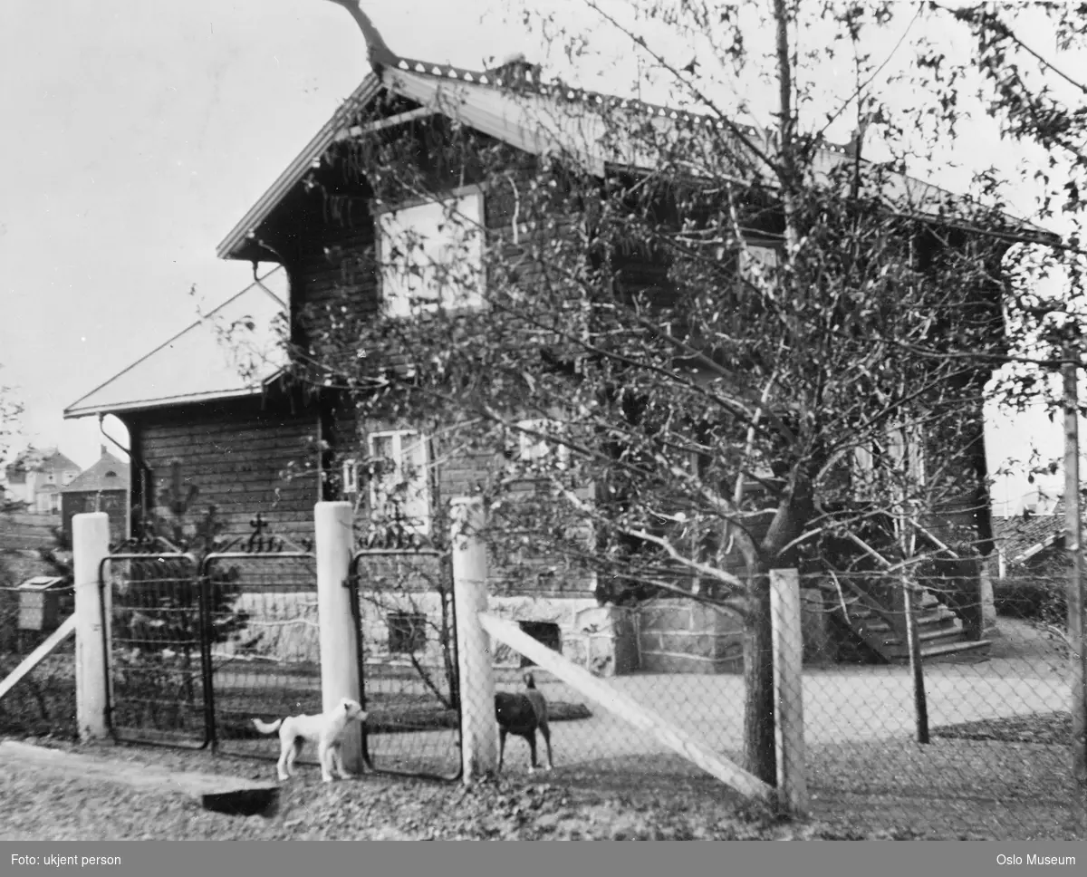 Villa Dagali, gjerde, port, hunder, gårdsplass