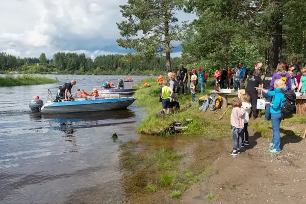 Norsk skogmuseum årsrapport 2017.