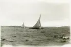 EBELLA och SINGOALLA under Sandhamnsregattan 6 augusti 1922.