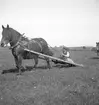 Bondeförbundet Årsstämma, Åby Gård. Bondeförbundets ordförande Axel Pehrsson-Bramstorp. Juni 1939