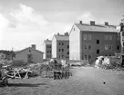 Nybyggen

September 1943