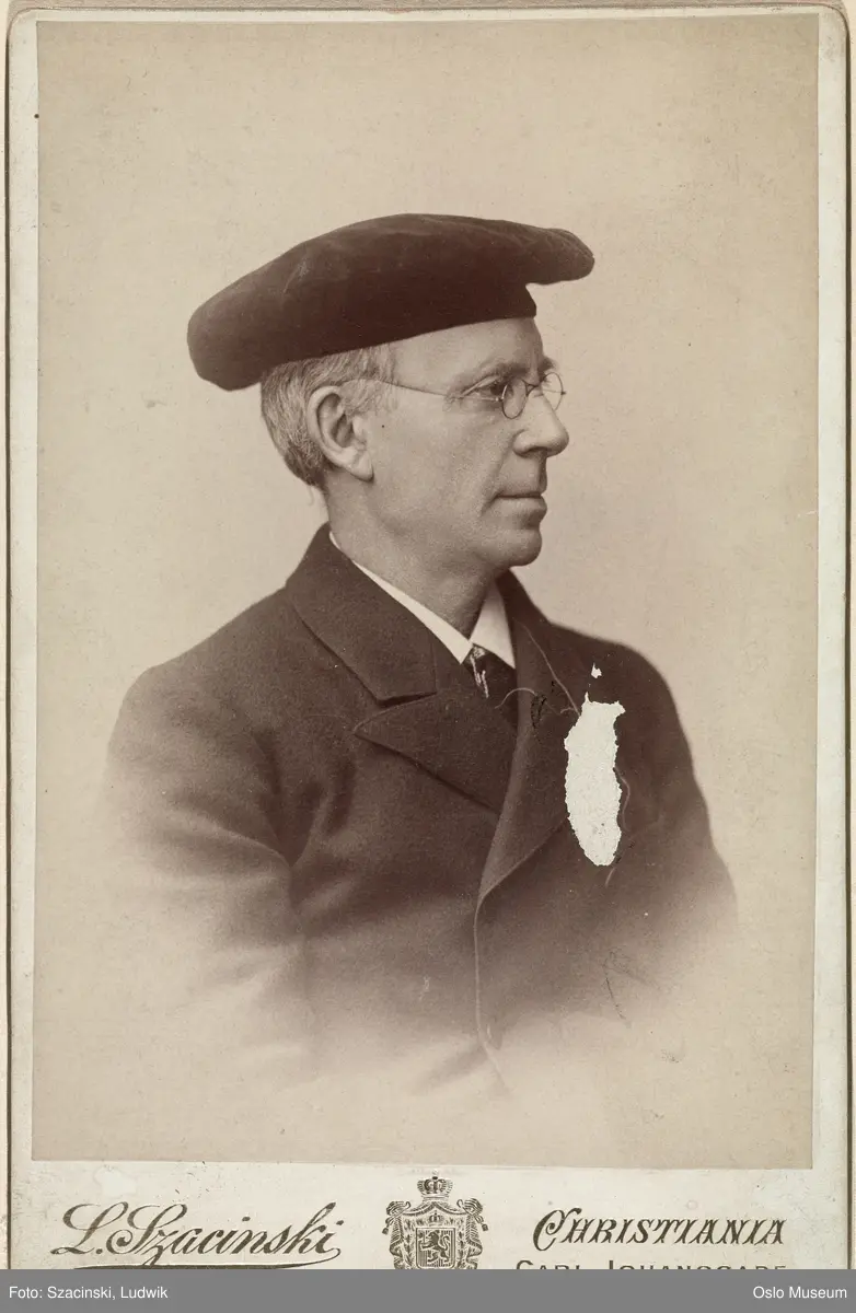 portrett, mann, forfatter, vignettert brystbilde, profil
