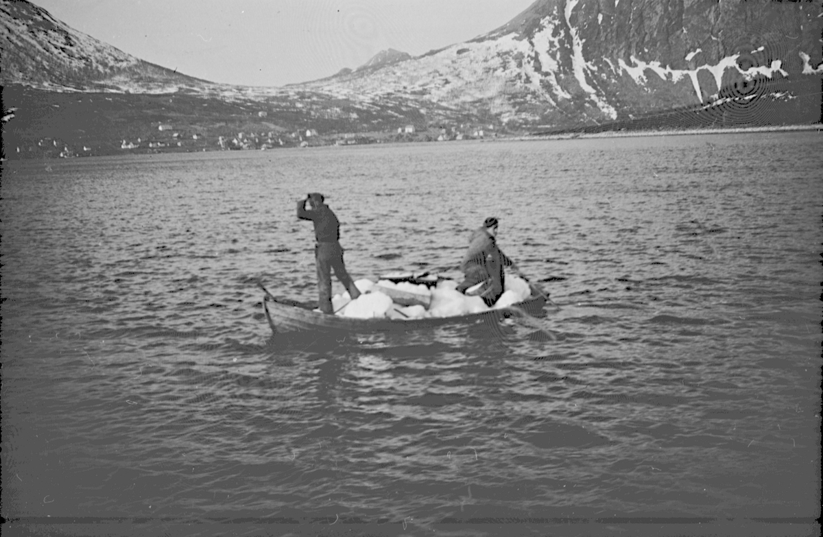 To menn ombord i en robåt lastet med is.1948.