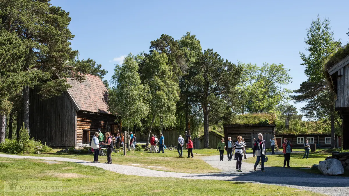 Romsdalsmuseet med turister fra turistskipet Costa Pacifica.