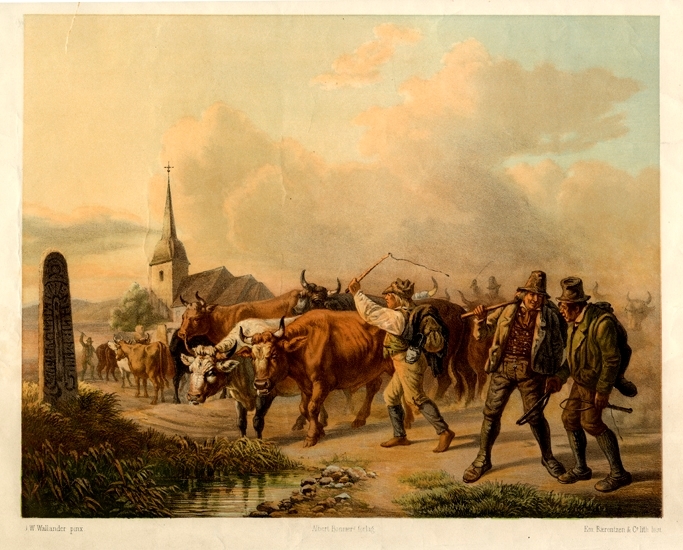 Färglitografi. 
Oxdrift i Småland. I bakgrunden syns en kyrka. Till vänster en runsten.
Under bilden text på tyska, engelska och svenska.