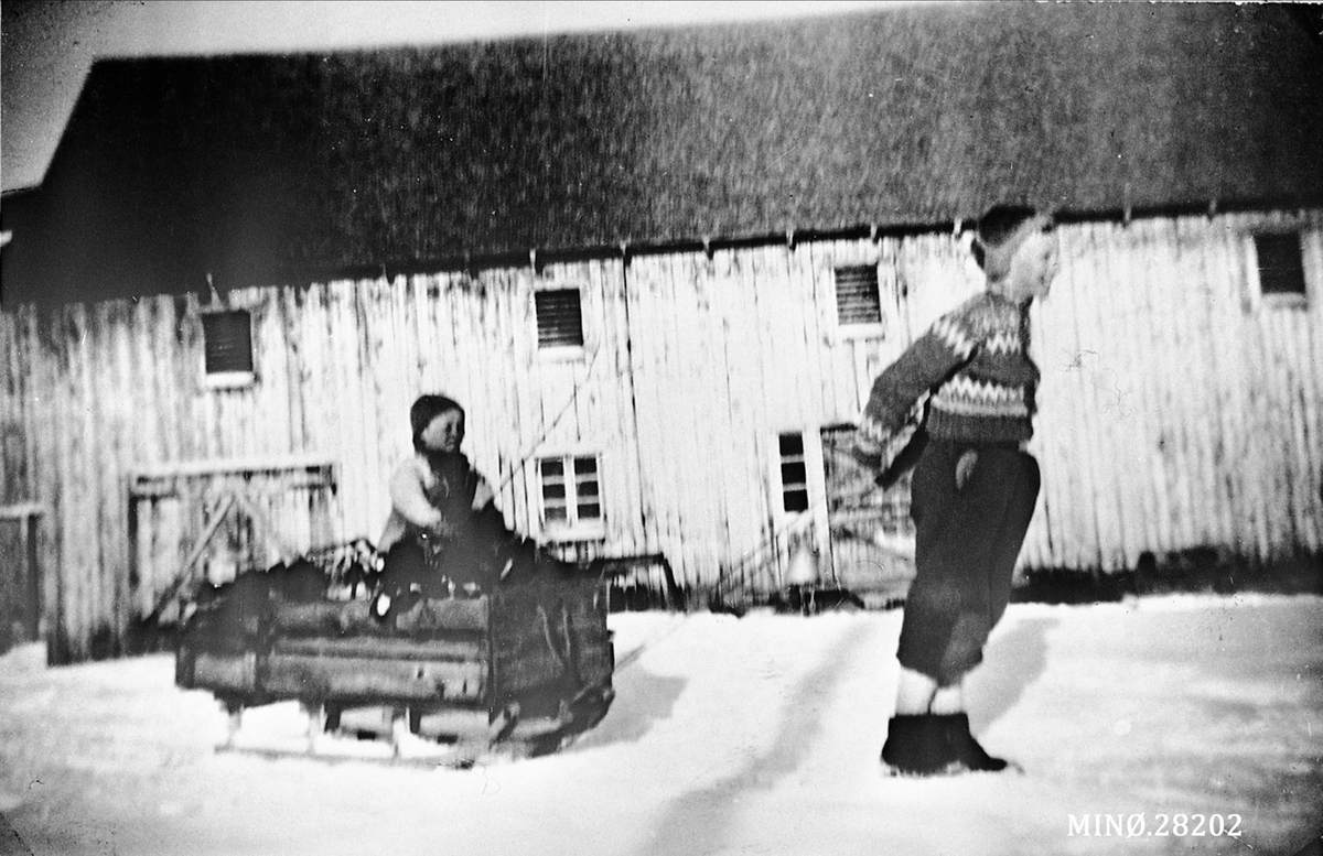 Vedkjøring for to unge gutter. Alf Høyslåen og Håkon Voll, på Midtøyen. 