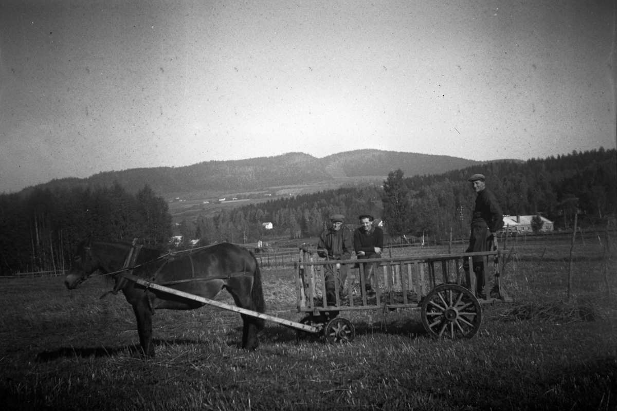 Gardskarer på Åstad gard, Ring. F.v. Karsten Thorsen, Sverre Pettersen, ukjent, Hest og høyvogn, hestekjøretøy. Gnr. 365, bnr. 1-9.