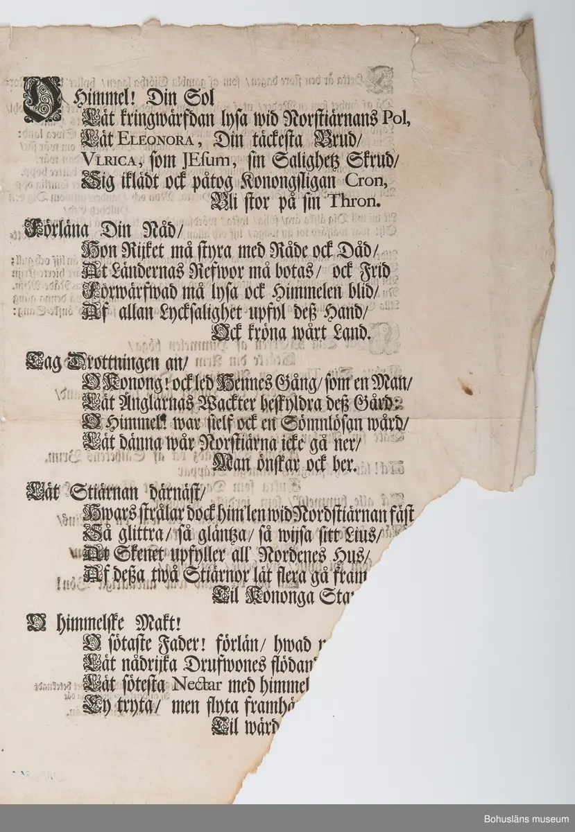 Fyrasidigt tryck på linnepapper. Text i frakturstil med större dekorerade enfanger och illustrationer, bl.a. tre kronor. På sidan 2 verser placerade i en solstråleform.

På första sidan texten:
"Swänska Norstiärnans 
Fägnesamma Åskådande /
Då
Hennes Kongl. Maij:tt 
Sweriges / Giöthes ock Wändes &c. &c. 
Stormäktigste / Allernådigste Drottning /
VLRICA
ELEONORA,
Samtel. Rÿjksens Ständer 
Hyllades 
I
STOCKHOLM, 
den 11. April, Anno 1719.
STOCKHOLM, 
Tryckt hos JOH. L. HORRN, Kongl. Antiquit. Archiv. Boktr"

Följande tre sidor med hyllningar på vers, t. ex.: "Thetta är den store dagen / som af gambla Giötha lagen / hyller dig du Nordens Sol".

Hyllningstexten avslutas på fjärde sidan med följande underskrift:
"Uti wördesammaste Underdånighet beteknadt
Af en herrdags-präst från dät
Arma Bohus-Län"
[Herrdag = närmast en äldre form av ordet "riksdag".]

Ur handskrivna katalogen 1957-1958:
Dokument 1719
"Ulrika Eleonora hyllades i Stockholm den 11 April, Anno 1719". Ngt trasigt. Inramat; mått: 42 x 59,5 cm.