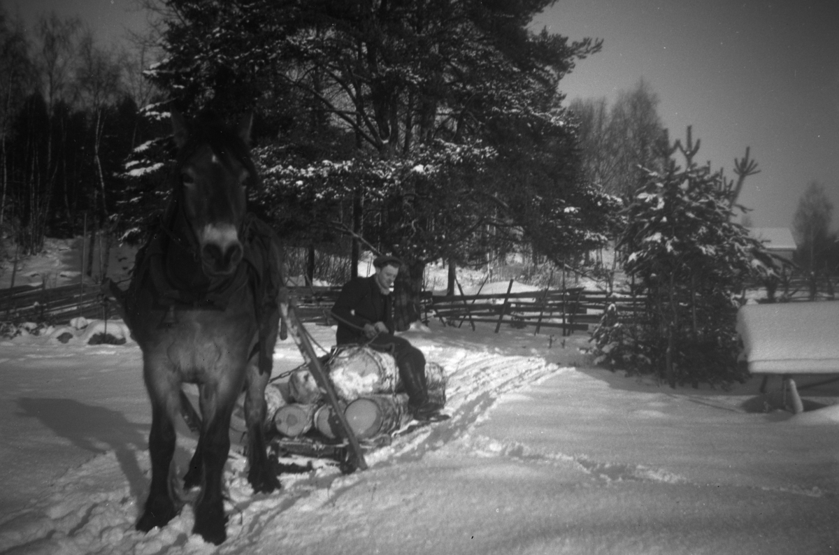 Tømmerkjøring, tømmerlass, hest og slede, Sverre Pettersen, gardskar på Åstad, Ring. Gnr. 365, bnr. 1-9.