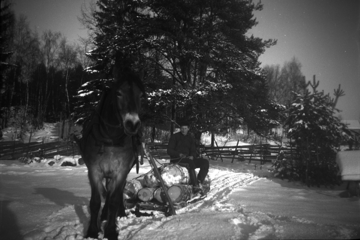 Tømmerkjøring, tømmerlass, hest og slede, ukjent gardskar på Åstad, Ring. Gnr. 365, bnr. 1-9.