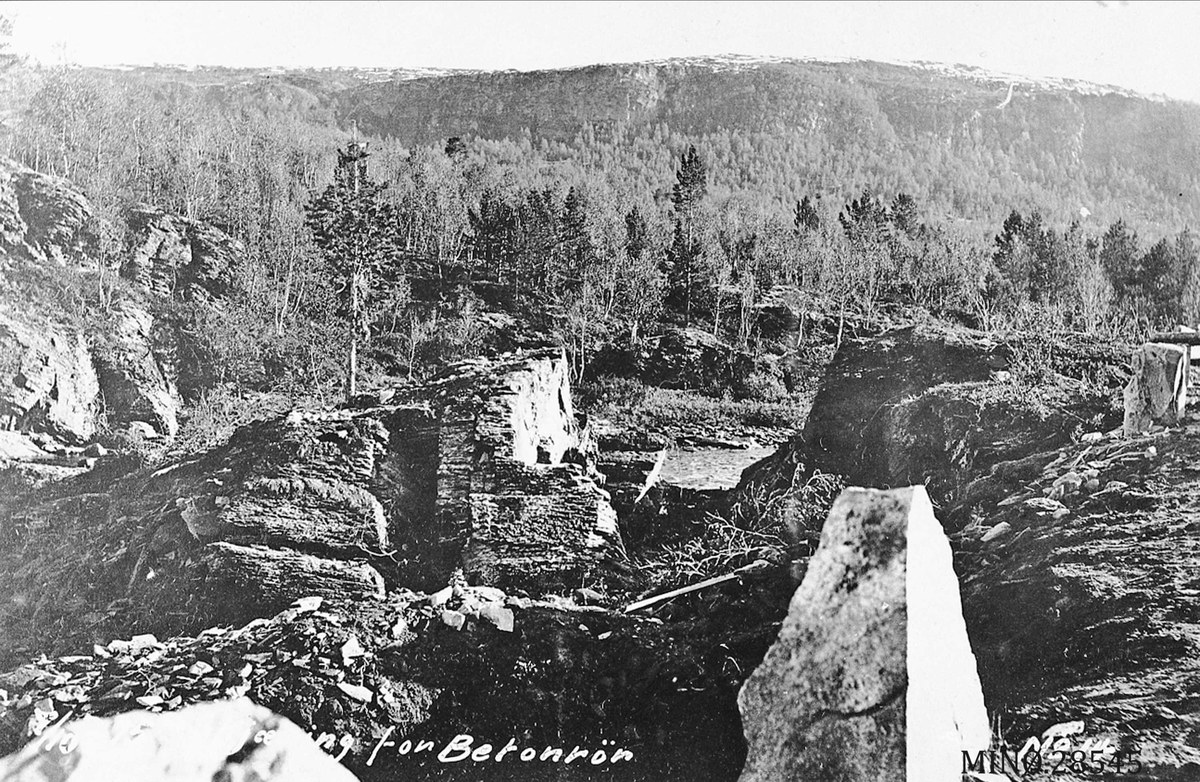 Røstvangen. Eidsfossen. "Plads for blandearrangamang"