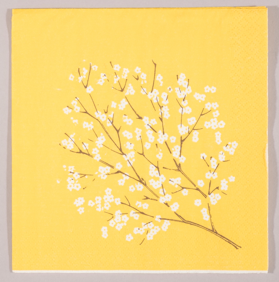 Et tre med hvite blomster