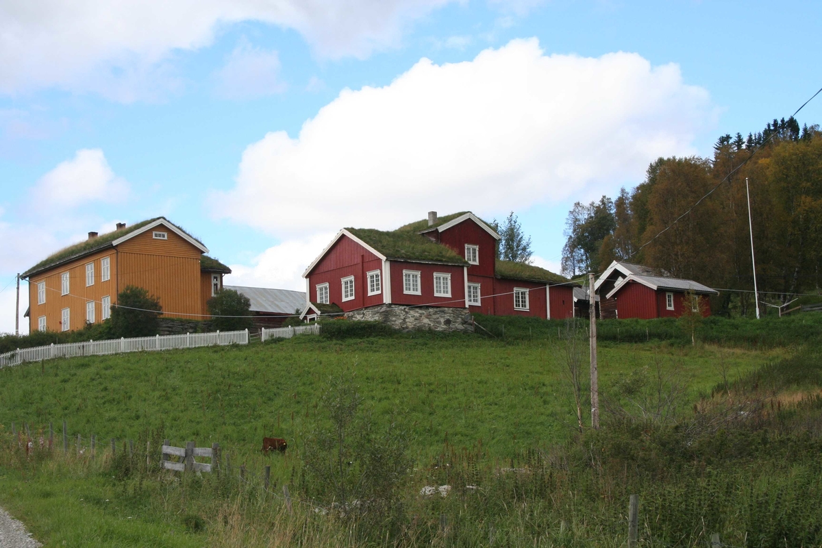 Åshaugen, Vingelsåsen, Tolga