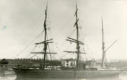 Bark 'Haakon Haakonsen' (b.1873, Rasmus O. Hærem, Stavanger,