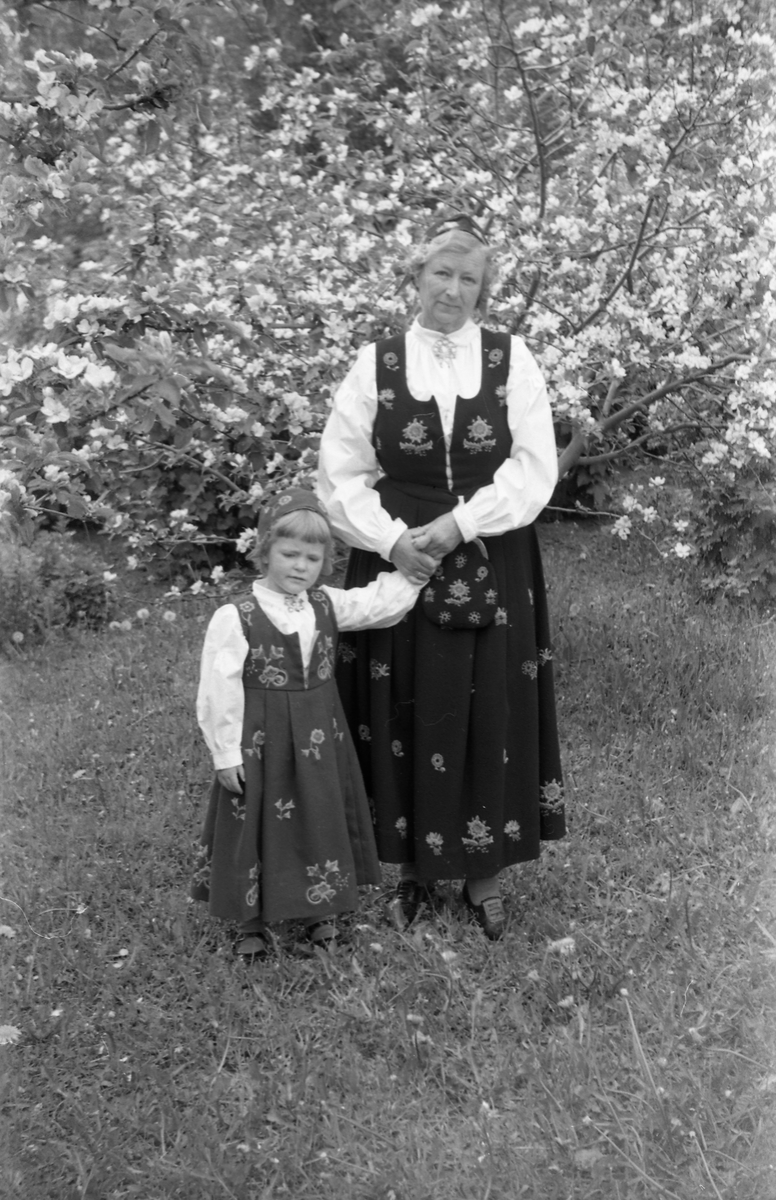 Serie på 11 helfigurs portretter av Dagmar og Michael Nordrum med dattera Else Marie mot en bakgrunn av et blomstrende frukttre. Noen av bildene er av de tre sammen, noen av mor og datter som begge bærer bunad, og noen av Else Marie alene.