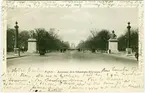 Paris - Avenue des Champs-Elysées