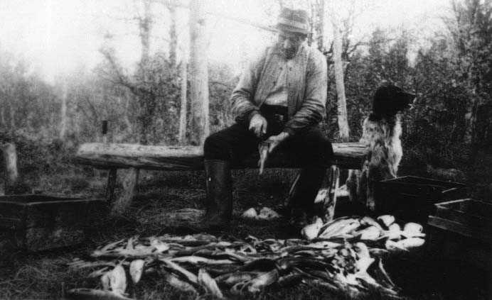 Eldre mann sløyer fisk. Stor fangst! Hund. Lars Sandbakken. 