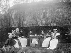 Kaffestund i en trädgård i Jönköping år 1896.