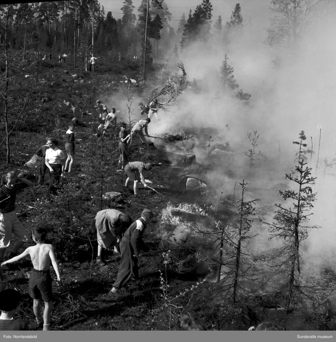 Hyggesbränning. Människor med risruskor jobbar med att begränsa elden. En brandman dricker ur vattenslangen.  Okänd ort.