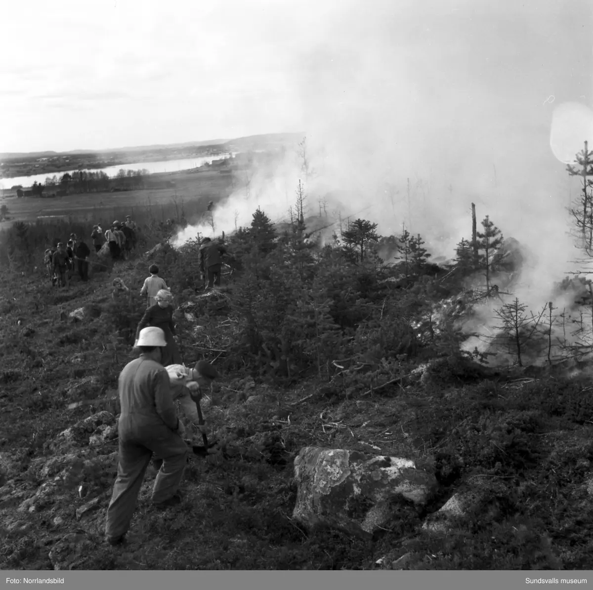 Hyggesbränning. Människor med risruskor jobbar med att begränsa elden. En brandman dricker ur vattenslangen.  Okänd ort.