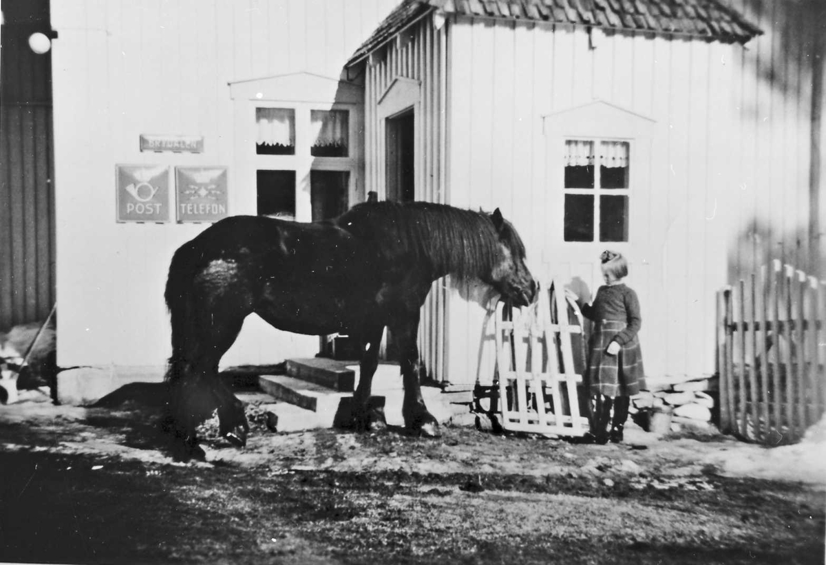 Hest og jente foran bolighus. "Herborg Rusten og Tufta. "