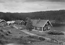 Sandungskalven i Nordmarka.