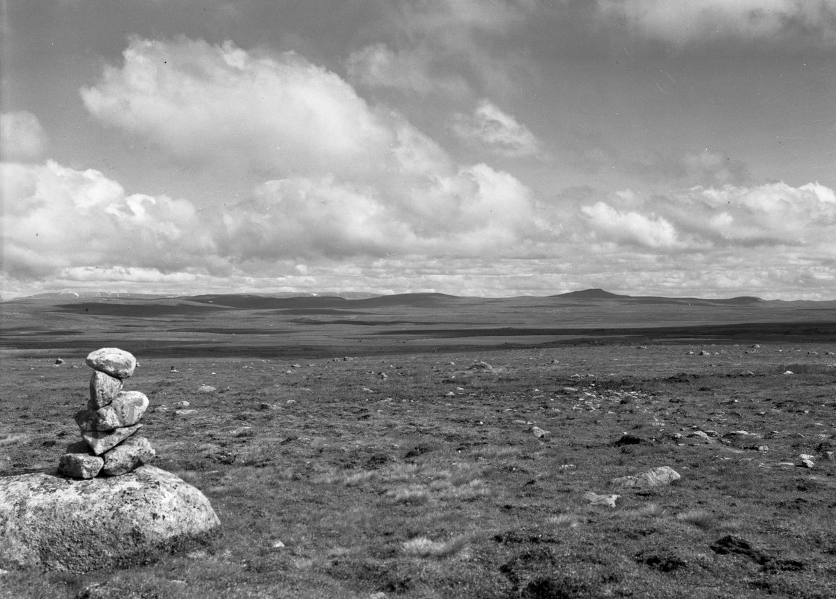 Varde på Hardangervidda