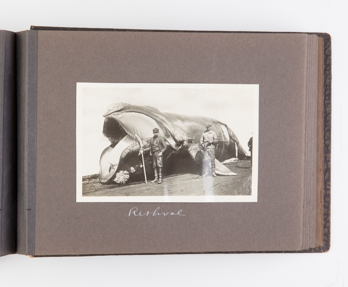 Fotoalbum med 42 fotografier fra Hvalfangsmuseet i Sandefjord.