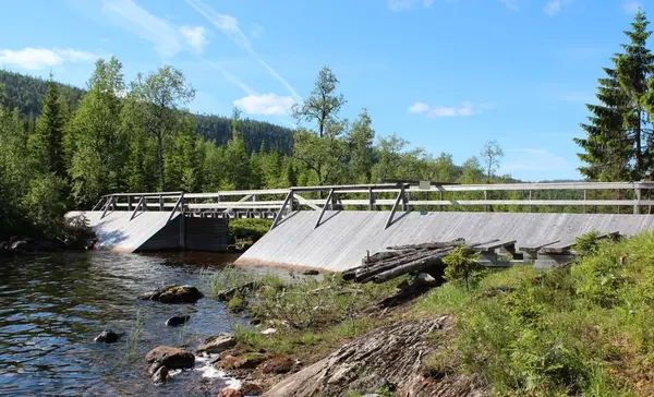 Namsskogan Bygdesamlinger