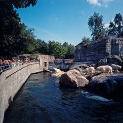 Björnbergets isbjörnar.
Anläggningen byggdes 1934, och var e