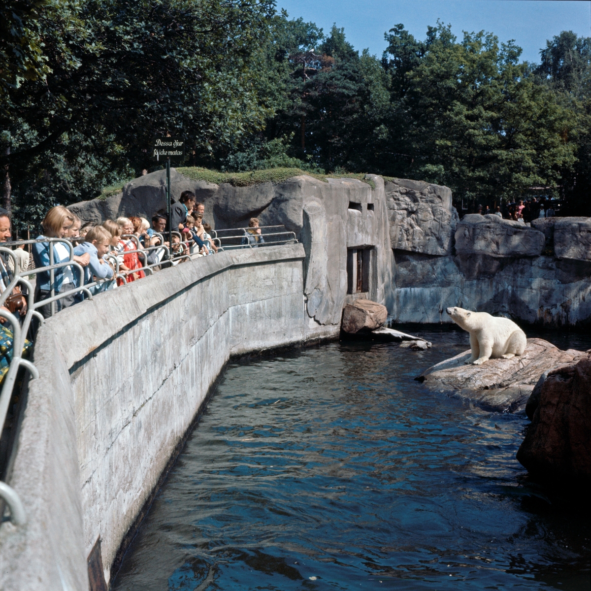 Björnbergets isbjörnar.
Anläggningen byggdes 1934, och var en utvidgning av den gamla isbjörnsburen.